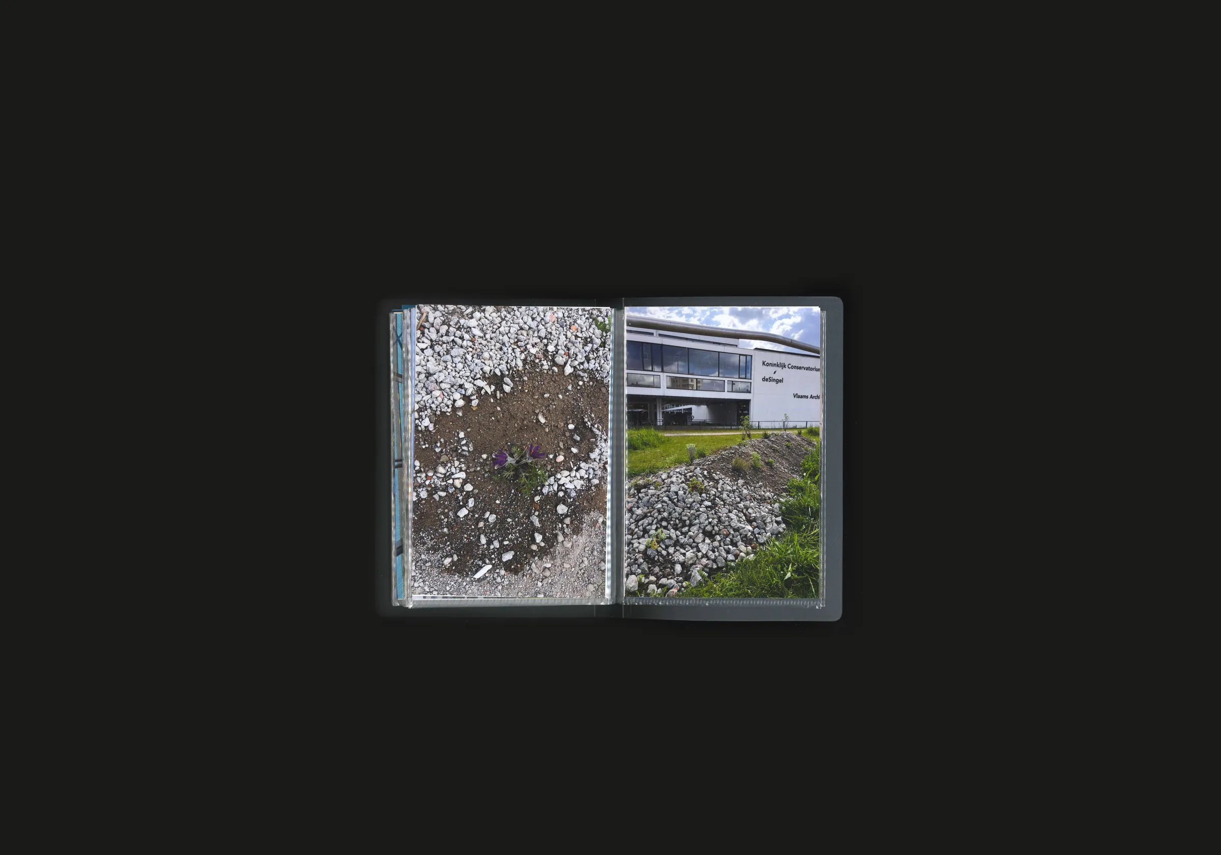 Place to Grow, image 9